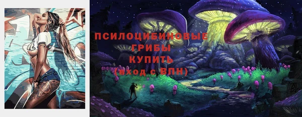 дурь Белокуриха