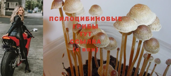 Альфа ПВП Снежинск