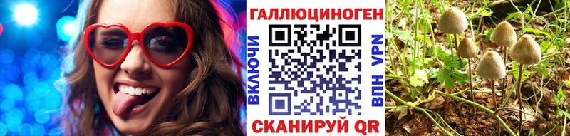 Галлюциногенные грибы мицелий  Будённовск 